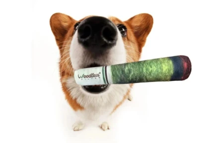 WFPETTOY1 - WEEDLEZ - SMOKING DOG TOY | JOUET POUR CHIEN