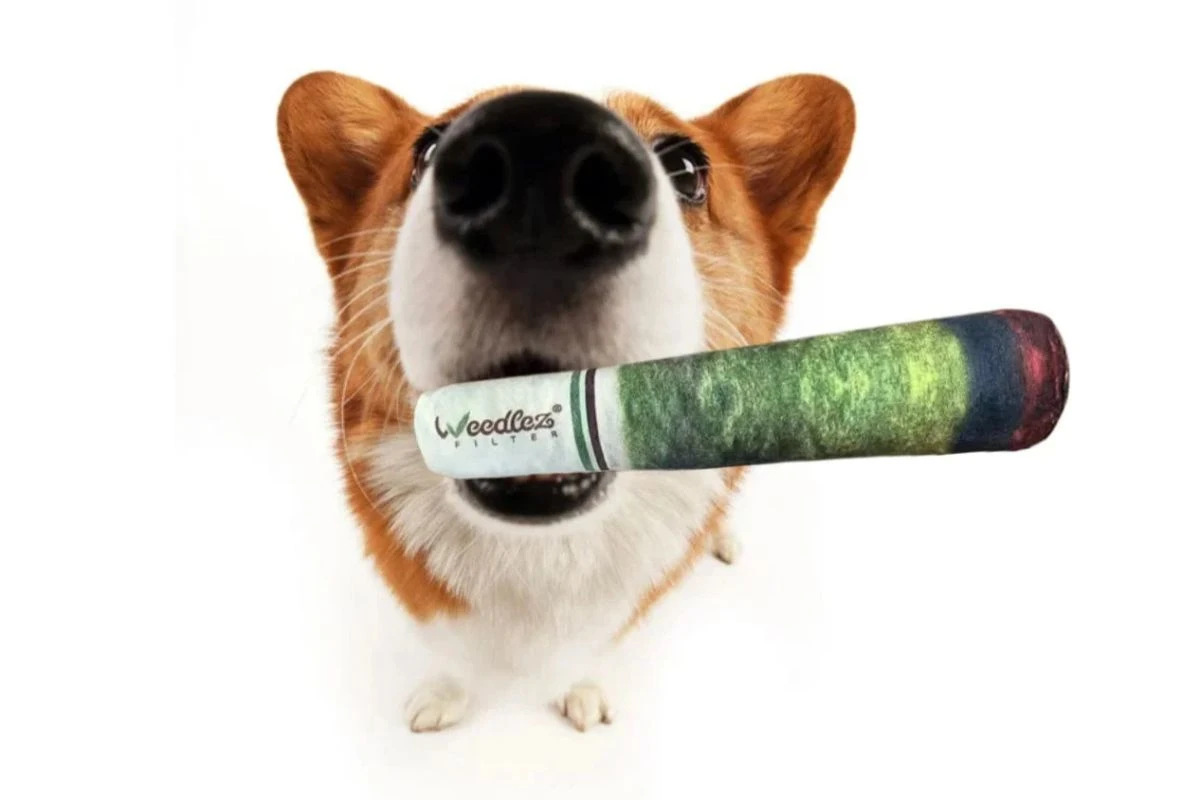 WFPETTOY1 - WEEDLEZ - SMOKING DOG TOY | GIOCATTOLO PER CANI