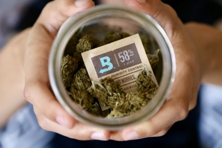 BOVEDA 58% - MANTENIMENTO UMIDITA' COSTANTE | BOX 600pz DA 4gr IMBUSTATO SINGOLARMENTE Indoorline