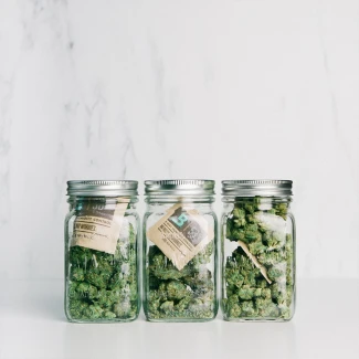 BOVEDA 58% - MANTENIMENTO UMIDITA' COSTANTE | BOX 300pz DA 8gr Indoorline